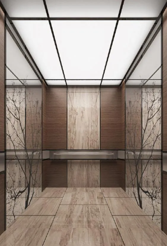 Элитная отделка салона пассажирского лифта Luxury decoration cabin passenger elevator