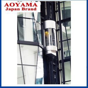 Высокий класс, полный 360-градусный панорамный лифт